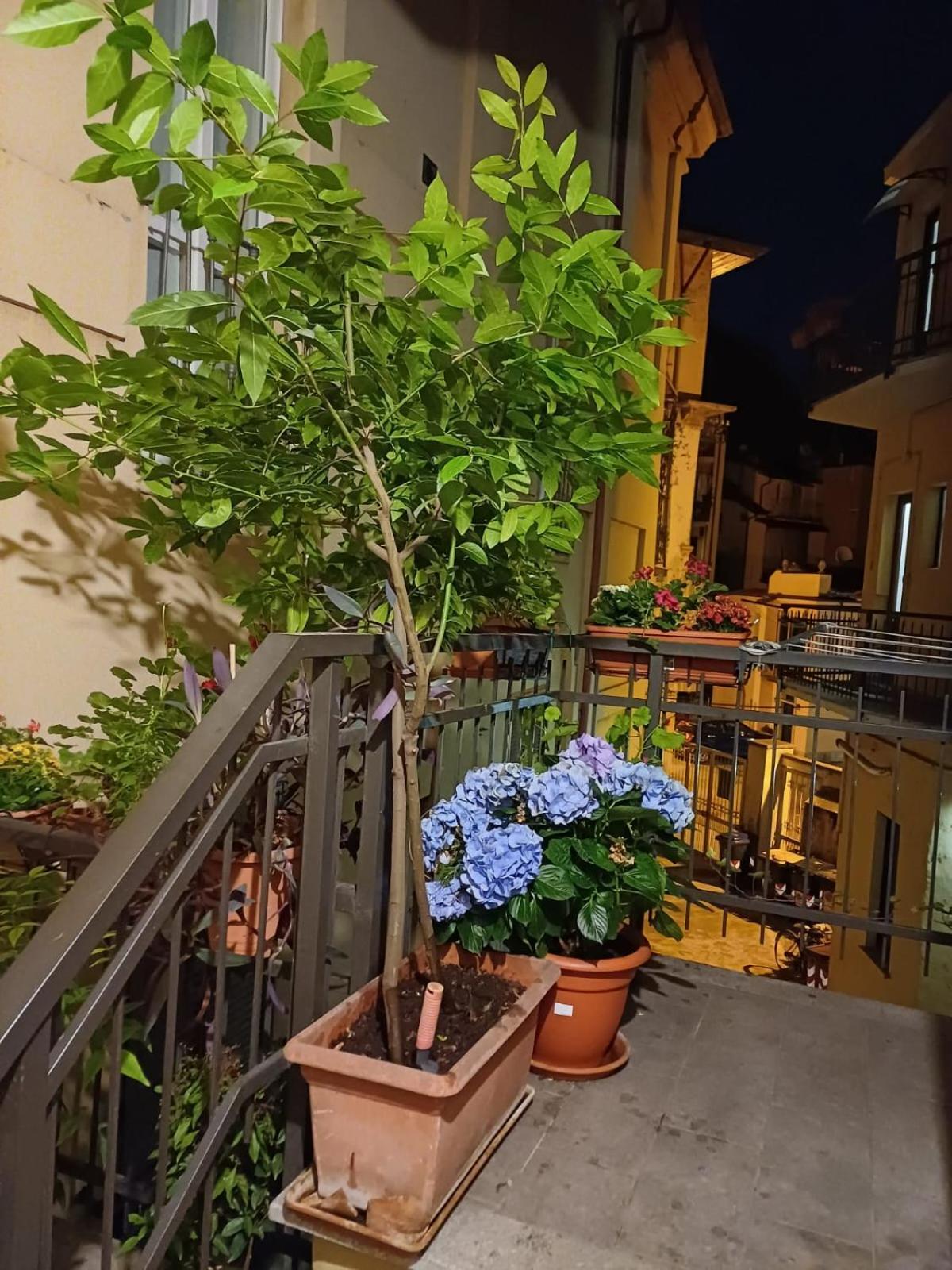 Apartamento La Terrazzina, Silenzioso, Zona Piazza Gran Madre Turín Exterior foto